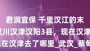 君润宜保 千里汉江的末端古时有汉川汉津汉阳3县，现在汉津去了哪里_武汉_蔡甸_地理