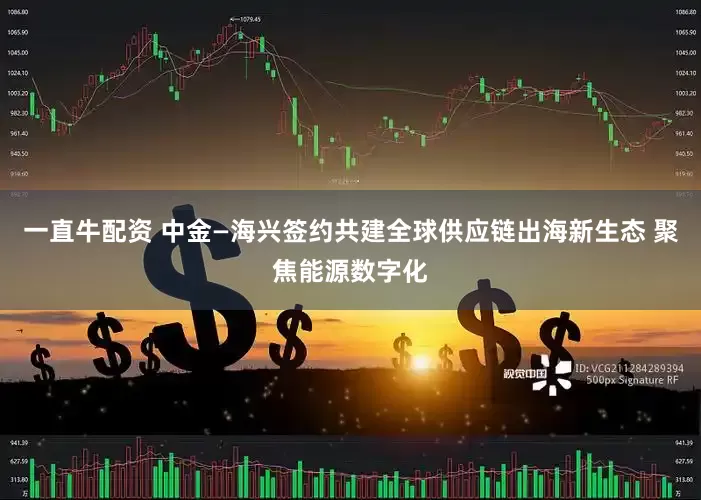 一直牛配资 中金—海兴签约共建全球供应链出海新生态 聚焦能源数字化
