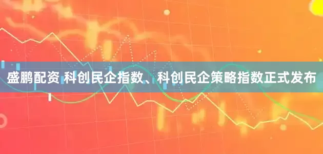 盛鹏配资 科创民企指数、科创民企策略指数正式发布