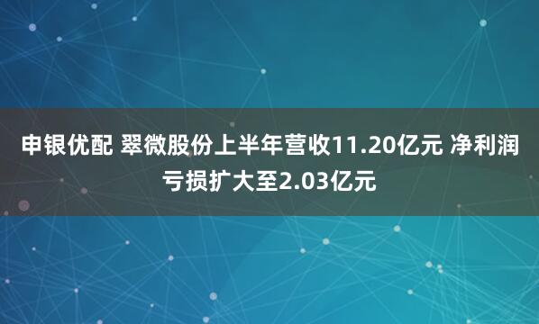 申银优配 翠微股份上半年营收11.20亿元 净利润亏损扩大至2.03亿元